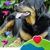 Paulette Winters - @paulette.winters5 - TikTok