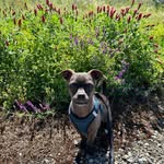 Paulette Wolfe Tryon - @prwolfe1 - Instagram