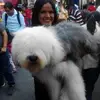 Paulette_Yates - @Paulette_Yates - TikTok