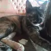 Paulina GR - @paulinalis7 - TikTok
