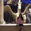 Paulina Munoz - @paulinamunoz912 - TikTok