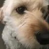 Paulina Munoz - @paulivinlavida - TikTok