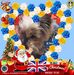 Pauline Allison - Facebook