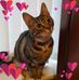 Pauline Henry - Facebook