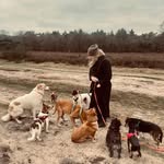 Pauline Arnoldus - @arnolduspauline - Instagram