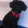 Pauline Batty - @pauline.batty - TikTok