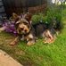 Pauline Bryan - Facebook
