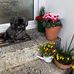 Pauline Chadwick - Facebook