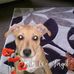 Pauline Townsend - Facebook