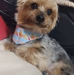 Pauline Chambers - Facebook