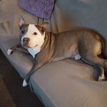 Pauline Chambers - @poe1967 - Instagram