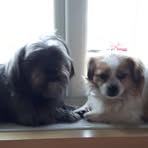 Pauline Coe - Facebook
