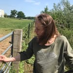 Pauline Coenen - @paulinecoenen - Instagram