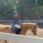Pauline Coenraets - @paulinecoenraets - Instagram