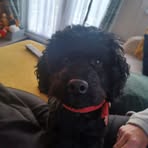 Pauline Cook - Facebook