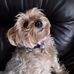 Pauline Corbett - Facebook