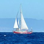 Pauline, Daniel & EOS ⛵ - @sailingyacht_eos - Instagram