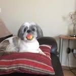 Pauline Davison - @paulinedavison392 - Instagram