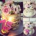 Pauline Dempsey - Facebook