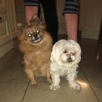 Pauline Dempsey - @dempsey8847 - Instagram