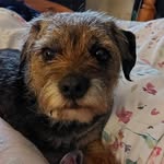 Pauline Devine - @devine5565 - Instagram