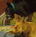 Pauline Dillon - Facebook