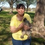Pauline Dion - @babyboomer0153 - Instagram