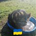Pauline Drew - Facebook