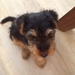 Pauline Drew - Facebook