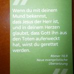 Pauline Feldmann - Facebook