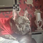 Pauline Griffith - @happy_happy_pauline - Instagram
