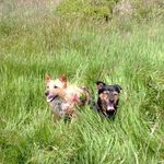 Pauline Hardwick - @hardwick491 - Instagram