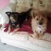 Pauline Hardwick - Facebook