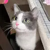 Hazel - @hazelpaulinejean - TikTok