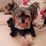 Pauline Hazel Devey - @deveypauline - Instagram