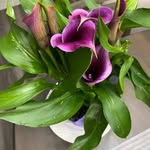 Pauline Hebert - @pauline.hebert.50 - Instagram