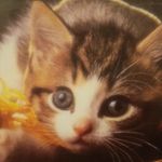 Pauline Hebert - @4458_pauline - Instagram