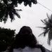 Pauline Herrera - Facebook