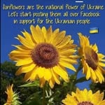 Pauline Byerly Hoffman - @byerlyhoffman - Instagram