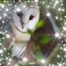 Pauline Hooper - Facebook