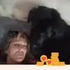 porkypaul - @paulinehull5 - TikTok