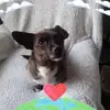 Pauline Kitchen - @pauline.kitchen0 - TikTok