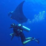 Pauline Rico et Hubert Lagrange - @cocomantaaa - Instagram
