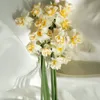 manuelpauline198 - @manuelpauline198 - TikTok