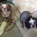 Pauline Mathis - Facebook