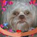 Pauline Mathis - Facebook