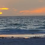Pauline McLaughlin - @pauline.mclaughlin1 - Instagram