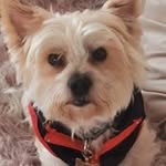 Pauline Mclaughlin - @paulinemclaughlin2 - Instagram