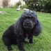 Pauline McLean - Facebook