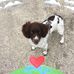 Pauline Morrison - Facebook